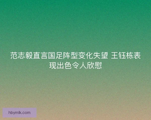 范志毅直言国足阵型变化失望 王钰栋表现出色令人欣慰