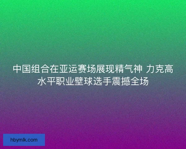 中国组合在亚运赛场展现精气神 力克高水平职业壁球选手震撼全场