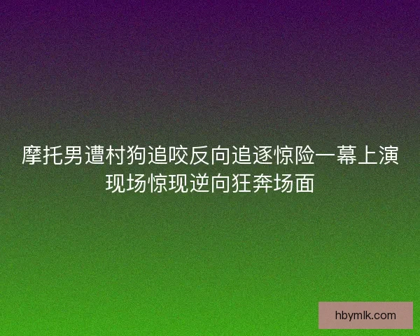 摩托男遭村狗追咬反向追逐惊险一幕上演现场惊现逆向狂奔场面